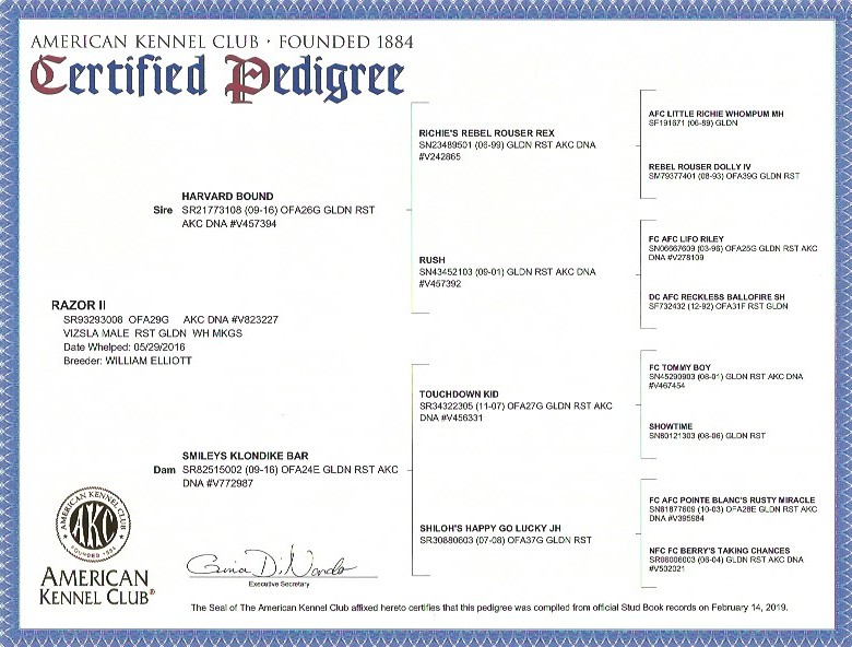 Razor AKC Certified Pedigree 1