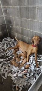 20260613_135026